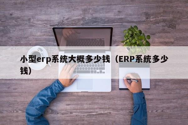 小型erp系统大概多少钱（ERP系统多少钱）