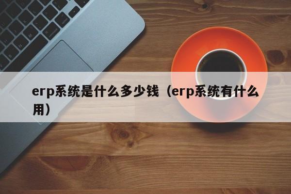 erp系统是什么多少钱（erp系统有什么用）