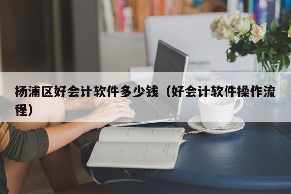 杨浦区好会计软件多少钱（好会计软件操作流程）