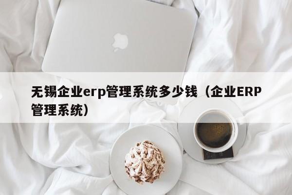 无锡企业erp管理系统多少钱（企业ERP管理系统）