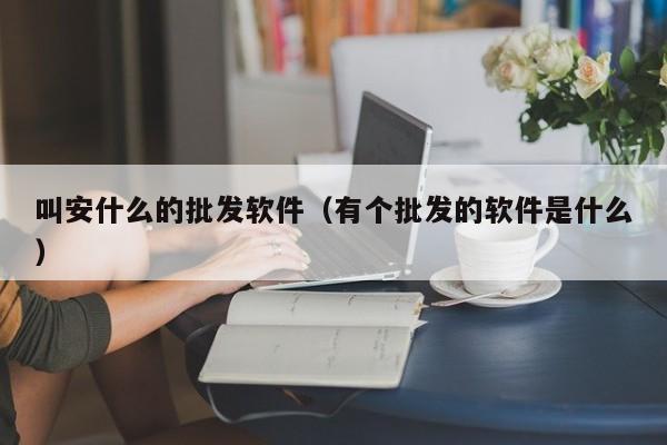 叫安什么的批发软件（有个批发的软件是什么）