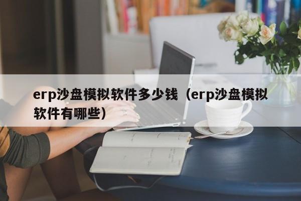 erp沙盘模拟软件多少钱（erp沙盘模拟软件有哪些）