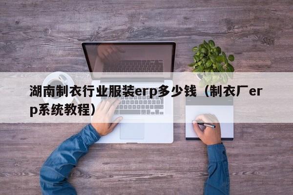 湖南制衣行业服装erp多少钱（制衣厂erp系统教程）