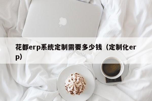 花都erp系统定制需要多少钱（定制化erp）