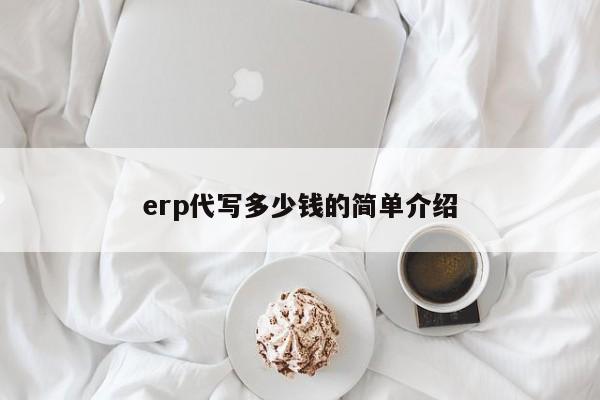 erp代写多少钱的简单介绍