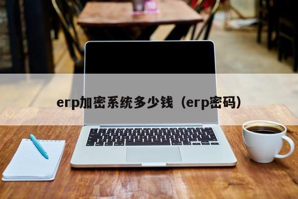 erp加密系统多少钱（erp密码）