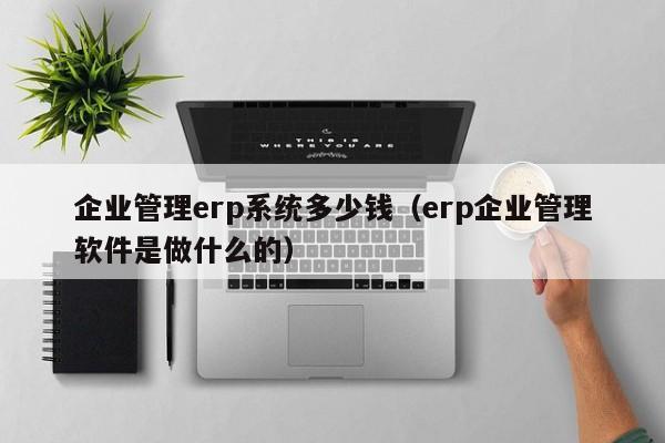 企业管理erp系统多少钱（erp企业管理软件是做什么的）