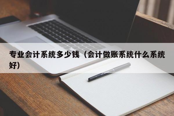 专业会计系统多少钱（会计做账系统什么系统好）