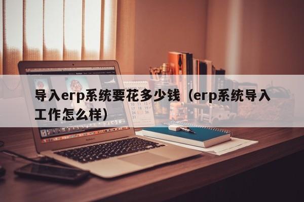 导入erp系统要花多少钱（erp系统导入工作怎么样）