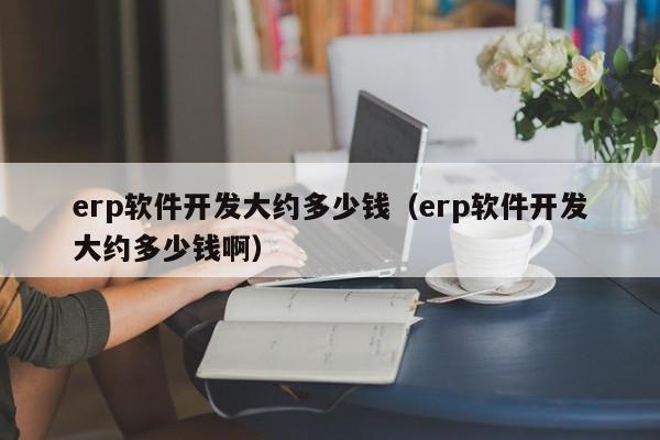 erp软件开发大约多少钱（erp软件开发大约多少钱啊）