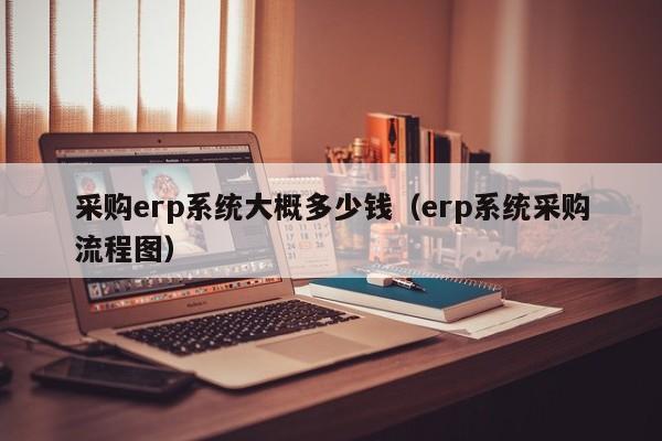 采购erp系统大概多少钱（erp系统采购流程图）