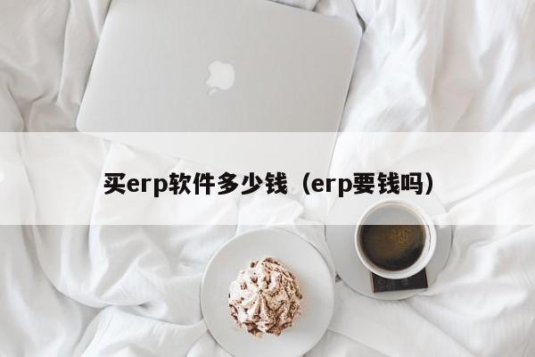 买erp软件多少钱（erp要钱吗）