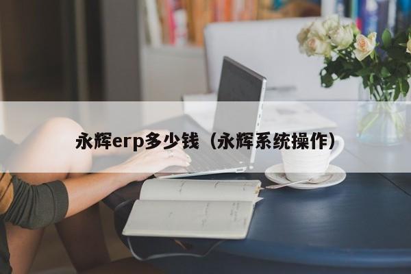 永辉erp多少钱（永辉系统操作）