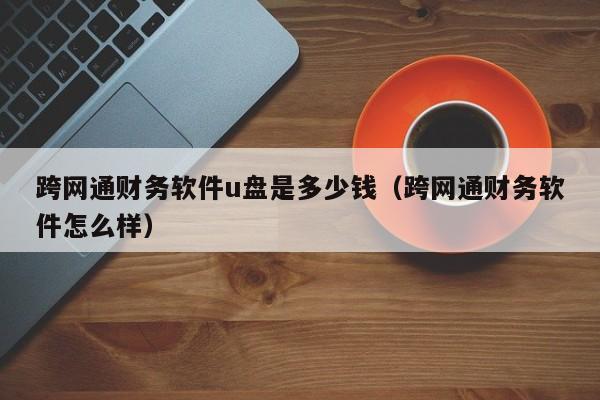 跨网通财务软件u盘是多少钱（跨网通财务软件怎么样）