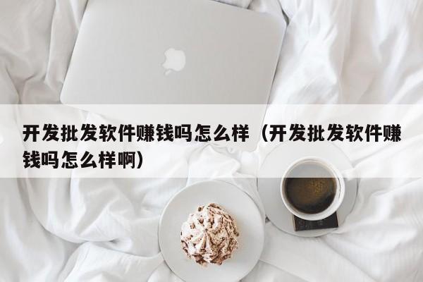 开发批发软件赚钱吗怎么样（开发批发软件赚钱吗怎么样啊）