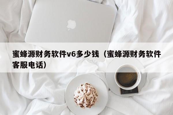 蜜蜂源财务软件v6多少钱（蜜蜂源财务软件客服电话）