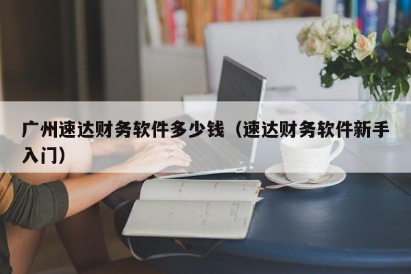 广州速达财务软件多少钱（速达财务软件新手入门）