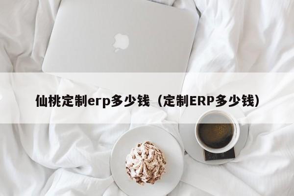 仙桃定制erp多少钱（定制ERP多少钱）