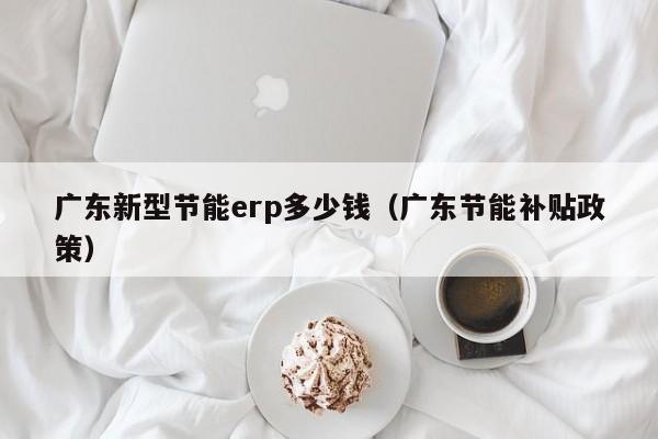 广东新型节能erp多少钱（广东节能补贴政策）