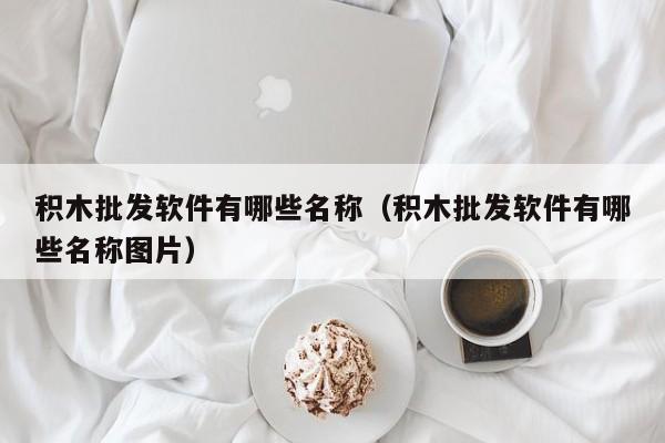 积木批发软件有哪些名称（积木批发软件有哪些名称图片）