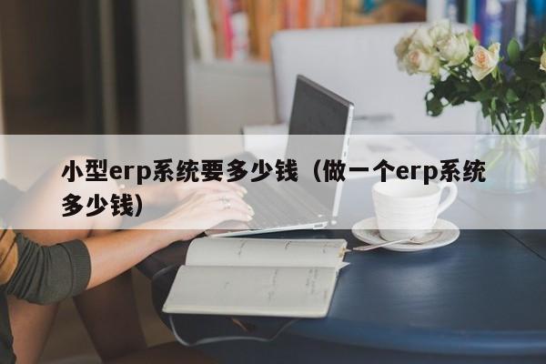 小型erp系统要多少钱（做一个erp系统多少钱）