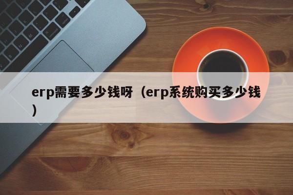 erp需要多少钱呀（erp系统购买多少钱）