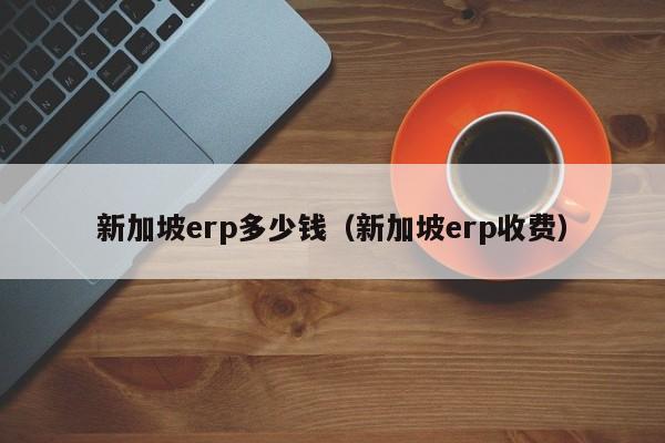 新加坡erp多少钱（新加坡erp收费）