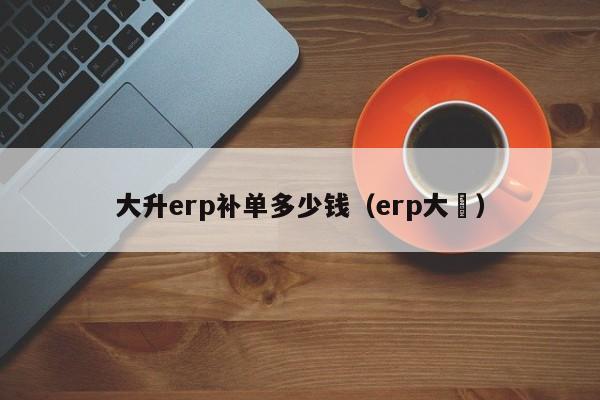 大升erp补单多少钱（erp大昇）