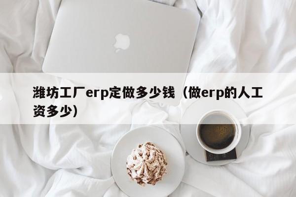 潍坊工厂erp定做多少钱（做erp的人工资多少）