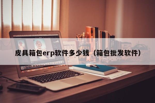 皮具箱包erp软件多少钱（箱包批发软件）