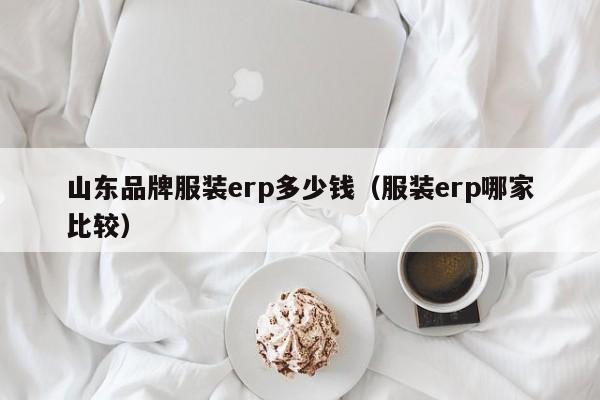 山东品牌服装erp多少钱（服装erp哪家比较）