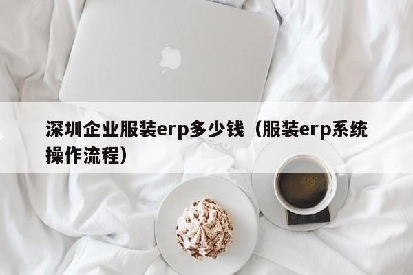 深圳企业服装erp多少钱（服装erp系统操作流程）