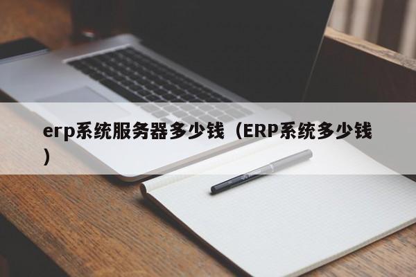 erp系统服务器多少钱（ERP系统多少钱）