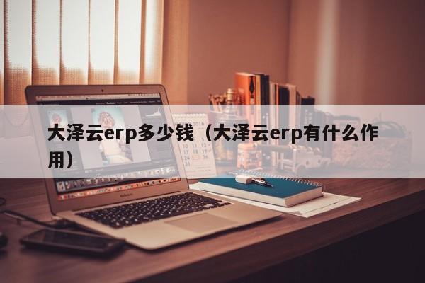 大泽云erp多少钱（大泽云erp有什么作用）