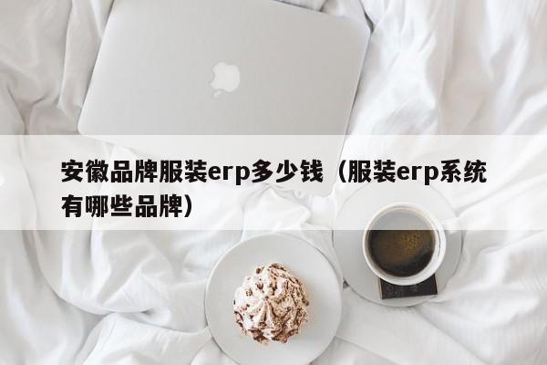 安徽品牌服装erp多少钱（服装erp系统有哪些品牌）