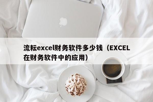 流耘excel财务软件多少钱（EXCEL在财务软件中的应用）