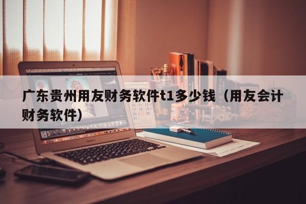 广东贵州用友财务软件t1多少钱（用友会计财务软件）