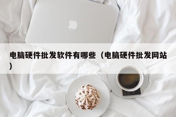 电脑硬件批发软件有哪些（电脑硬件批发网站）