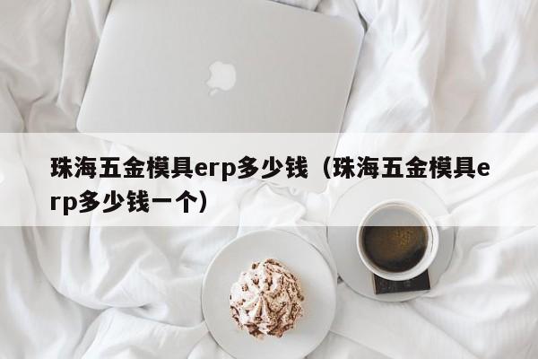 珠海五金模具erp多少钱（珠海五金模具erp多少钱一个）