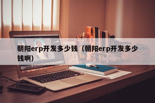 朝阳erp开发多少钱（朝阳erp开发多少钱啊）