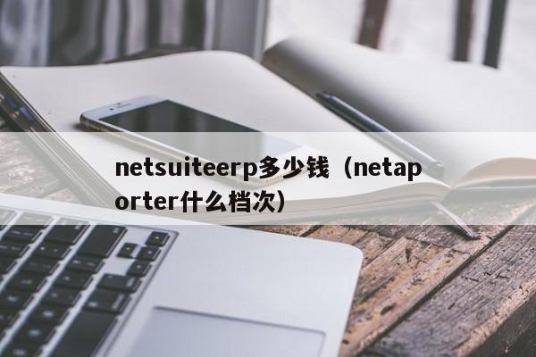 netsuiteerp多少钱（netaporter什么档次）