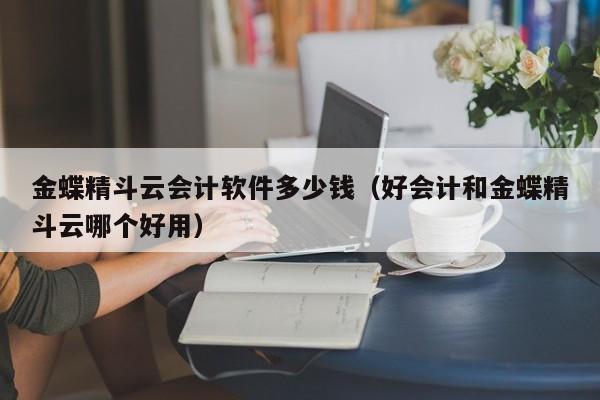 金蝶精斗云会计软件多少钱（好会计和金蝶精斗云哪个好用）