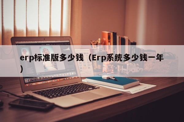 erp标准版多少钱（Erp系统多少钱一年）