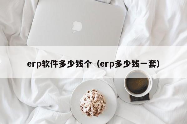 erp软件多少钱个（erp多少钱一套）