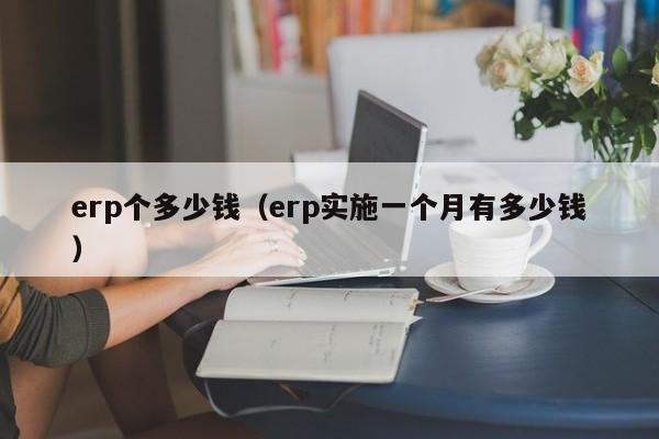 erp个多少钱（erp实施一个月有多少钱）