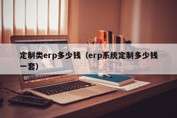 定制类erp多少钱（erp系统定制多少钱一套）