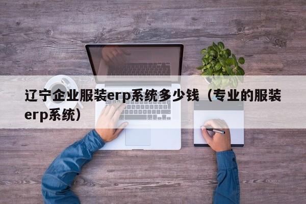 辽宁企业服装erp系统多少钱（专业的服装erp系统）