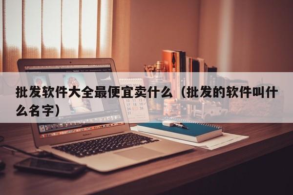 批发软件大全最便宜卖什么（批发的软件叫什么名字）