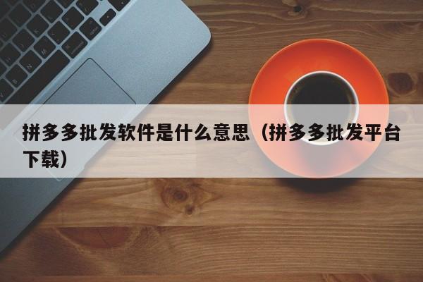 拼多多批发软件是什么意思（拼多多批发平台下载）