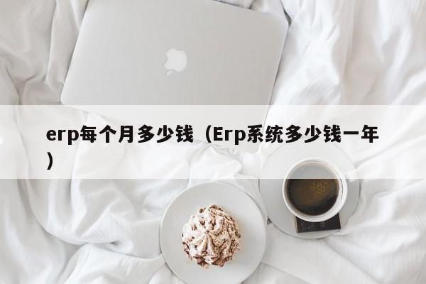 erp每个月多少钱（Erp系统多少钱一年）